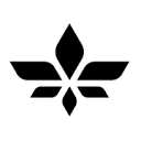 Lilium Aviation